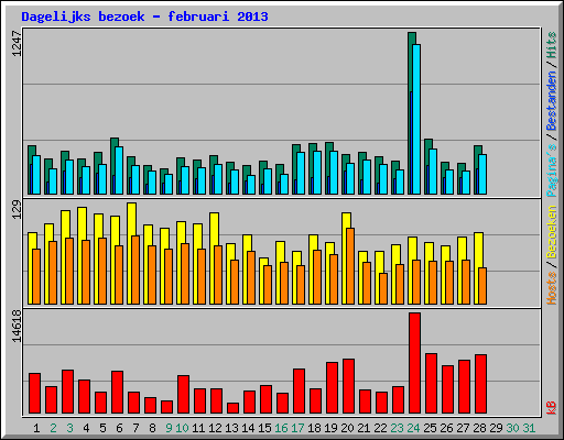Dagelijks bezoek - februari 2013